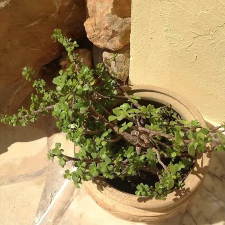 Casa Grecia Santa Eulalia del Río